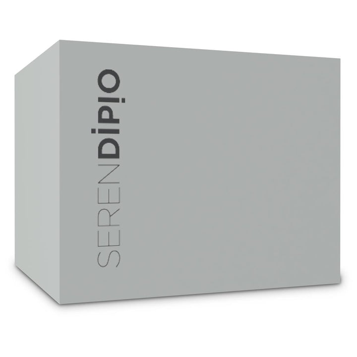 Serendipio Camden Ceramic Coffee Mug - 400ml