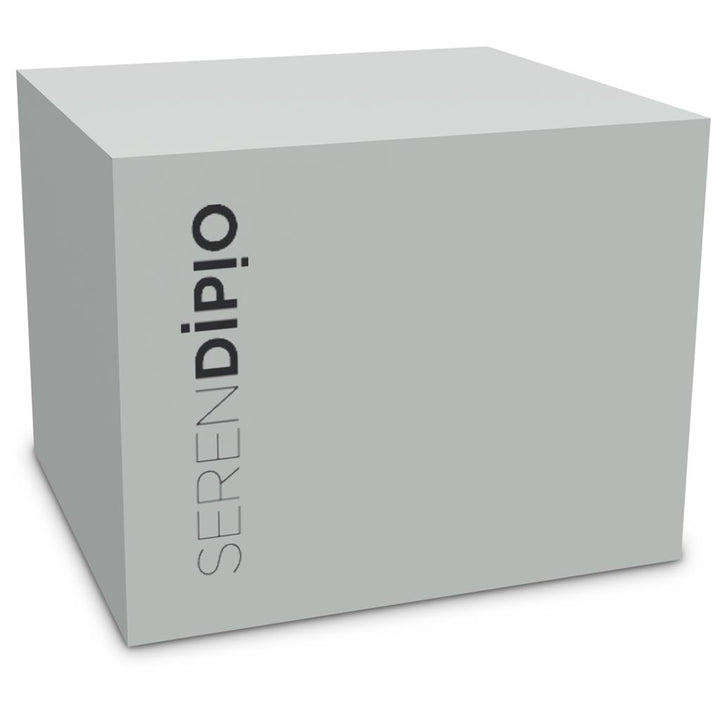 Serendipio Camden Ceramic Coffee Mug - 400ml