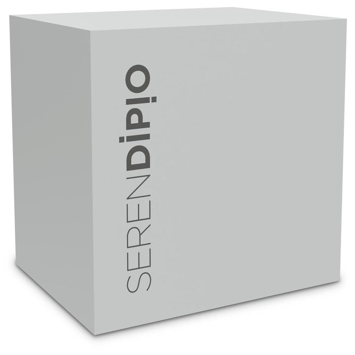 Serendipio Dorset Ceramic Coffee Mug – 400ml